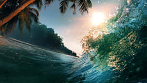 熱帶海灘場景，有拍打的海浪和日落時的棕櫚樹。 — 波浪 壁紙