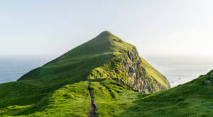 草山頂峰，小徑俯瞰海洋，晴朗天氣 — 法羅群島 壁紙