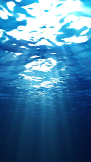 陽光透過海面在水下過濾。 — 海洋 壁紙
