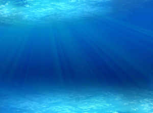 陽光穿過海水照射在沙質海底上。 — 海洋 壁紙