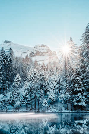 積雪的松樹和山脈倒映在晴朗陽光下的平靜湖面上。 — 小米平板 8 壁紙