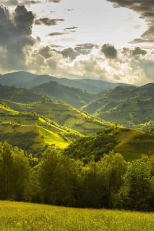 在戲劇性的雲層下，陽光穿透，照亮起伏的綠色山丘和森林。 — 山坡 壁紙