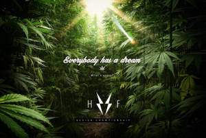 陽光透過高大的大麻植物，帶有鼓舞人心的文字疊加。 — 大麻 壁紙
