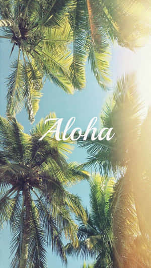棕櫚樹在明亮的陽光下搖曳，藍天背景上帶有Aloha文字 — 棕櫚樹日落 壁紙