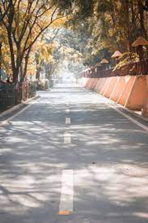 陽光穿過秋樹照在寧靜的道路上。 — 道路 壁紙