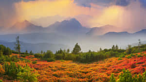 陽光穿過雲層，照耀在煙霧繚繞的山巒上，前景是鮮豔的秋葉。 — 自然風景動圖 壁紙