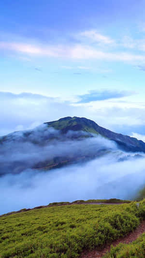 山峰聳立於雲端之上，前景綠色，藍天為背景 — 瑞士阿爾卑斯山 壁紙