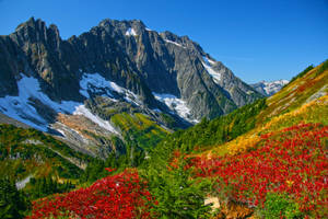 白雪覆蓋的山峰聳立在一個充滿紅色和金色秋葉的山谷之上。 — 山坡 壁紙