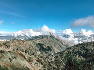 雲海上的山脊，藍天 — 綠色天空 壁紙