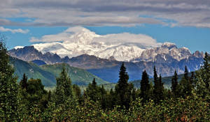 雪山在藍天白雲下從綠色森林中升起。 — 山景 壁紙