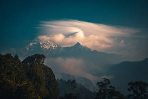 雪山峰在黎明時分聳立於雲層之上，前景有森林 — 美學 Mac 壁紙