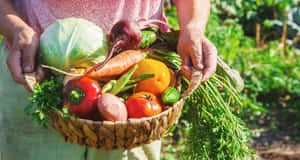 人在陽光下拿著一籃新鮮的花園蔬菜。 — 春天 壁紙