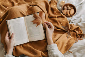 舒適的秋日閱讀場景，雙手捧著書、樹葉、毛毯和仙女燈。 — 可愛萬聖節桌面 壁紙