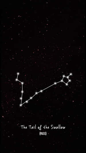 星空中的雙魚座燕尾星座 — 雙魚座 壁紙