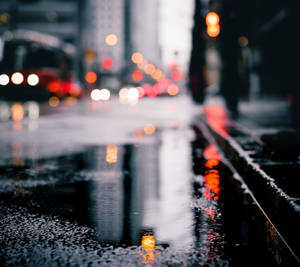 雨夜中濕漉漉的城市街道，水坑中反射著模糊的燈光。