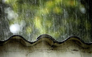 雨水落在彎曲的屋頂上，背景有綠色植物。 — 美學天空 壁紙