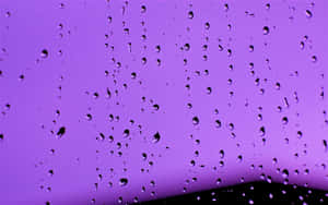玻璃上的雨滴，映襯著紫色的暮色天空。 — 桌面 壁紙