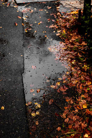 雨滴在濕漉漉的小徑上的水窪中泛起漣漪，小徑上覆蓋著秋天的落葉。 — Oppo Pad 壁紙