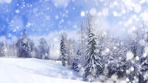 冬季森林中積雪的樹木，藍天下飄落著雪花。 — 4K 電腦 壁紙