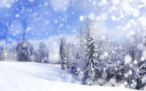 晴朗藍天下，雪花飄落的雪覆蓋森林。 — 冬季風景 壁紙