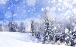 藍天下飄雪的冬季森林中積雪覆蓋的樹木。 — 冬季風景 壁紙