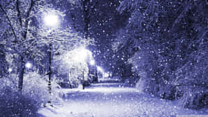 夜晚，雪落在被冰凍樹木環繞的明亮冬季小徑上。 — 可愛聖誕節 壁紙