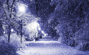 夜晚，雪落在被冰凍樹木環繞的明亮冬季小徑上。 — 雪降花戲劇 壁紙