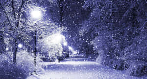 在黑暗的天空下，發光的街燈照亮了冬季公園的降雪。 — 冬季風景 壁紙