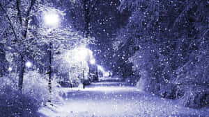在發光街燈照亮的冬季公園中下雪。 — 4K 壁紙