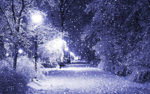 夜晚，雪落在穿過冬季公園的明亮小徑上。 — 雪景 GIF 壁紙