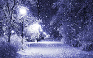 夜間街燈照亮冬季公園小徑上的降雪。 — 冬季美學 壁紙