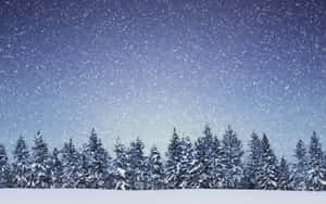 在暮色天空下，雪花輕輕飄落在積雪的松樹線上。 — 冬季風景 壁紙
