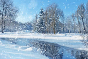 冬日晴朗的藍天下，白雪覆蓋的樹木和結冰的河流。 — 冬季風景 壁紙
