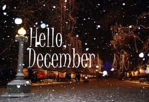夜間公園中飄雪，伴有節日燈飾和「Hello December」標誌。 — 十二月 壁紙