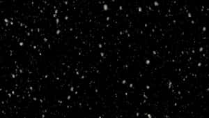 雪花在黑色背景上飄落 — 雪降花戲劇 壁紙