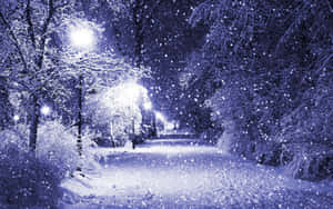 雪輕輕落在被雪覆蓋的樹木環繞的明亮冬季小徑上。 — 冬季風景 壁紙