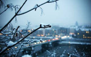 積雪的樹枝框住了一片模糊的城市景觀，夜燈閃爍。 — 雪降花戲劇 壁紙