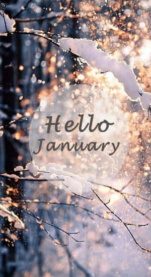 被雪覆蓋的樹枝上帶有「Hello January」文字，在冬季溫暖地發光。 — 新年快樂 壁紙
