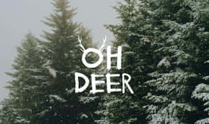 雪花落在常綠樹上，文字「OH DEER」帶有鹿角裝飾。 — 冬季美學 壁紙