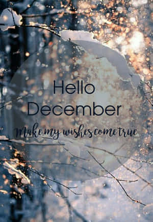 被雪覆蓋的樹枝，帶有溫暖的散景燈光和「Hello December」文字疊加。 — 可愛聖誕節 壁紙