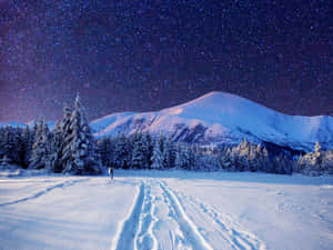 星空下雪覆蓋的山路與松樹 — 冬季風景 壁紙