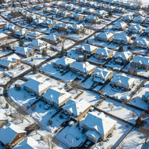 白雪覆蓋郊區房屋、車道和樹木，在明亮的陽光下形成寧靜的冬季社區。 — 寒冷 壁紙