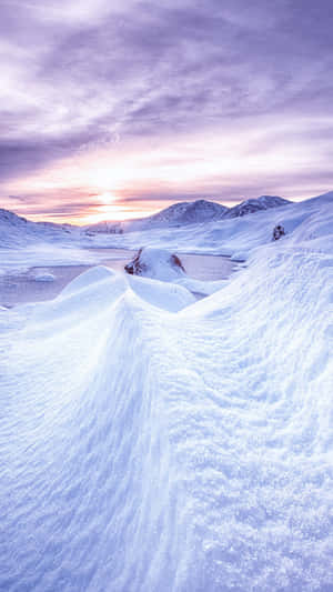 雪景美圖 — 冬季風景 壁紙