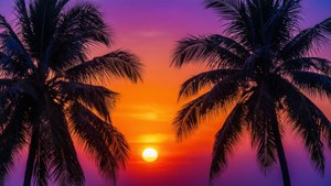 兩棵棕櫚樹在色彩繽紛的日落天空下形成剪影。 — 霓虹美學 壁紙