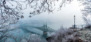 霧氣冬日早晨，透過光禿樹枝看到的霜凍河橋。 — 海景 壁紙