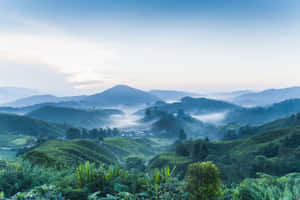 馬來西亞背景 — 馬來西亞 壁紙