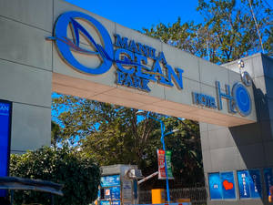 馬尼拉海洋公園及H2O酒店的入口，在晴朗藍天下，有綠樹相伴。 — 馬尼拉 壁紙