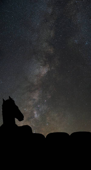 在繁星夜空下馬的剪影，銀河系清晰可見。 — 馬男波傑克 壁紙