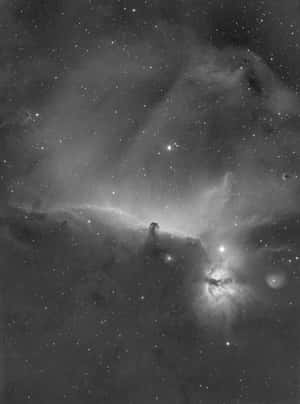 馬頭星雲單色，有星星和宇宙雲 — 2048x2732 壁紙