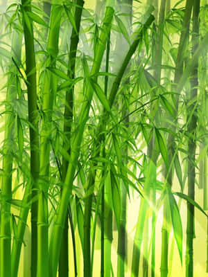 高大的綠色竹莖，陽光穿過霧氣森林 — 竹子 壁紙